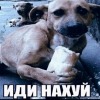Вибратор2000