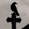 The Rotting Raven