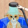 Smollushka_993