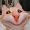 Тайный_чтец