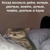 пика варит