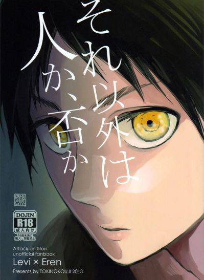 Shingeki no Kyojin dj - Человек или же нет?