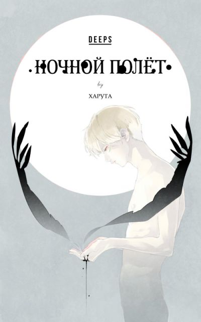 Ночной полёт