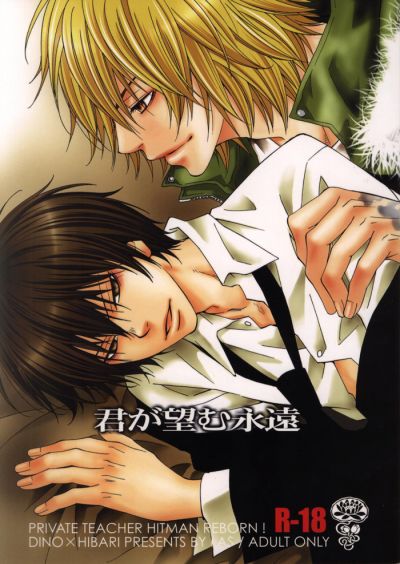 Kateikyoushi Hitman Reborn! doujinshi: Kimi ga Nozomu Eien