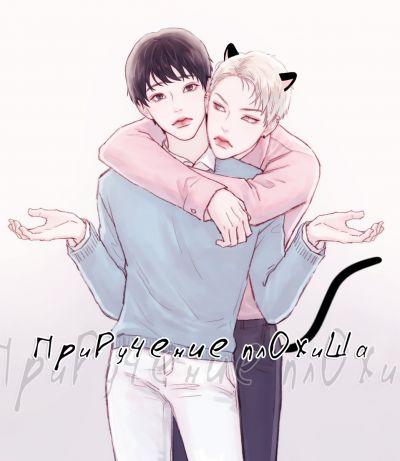 Приручение плохиша