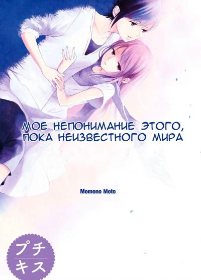 Мое непонимание этого,  пока неизвестного мира