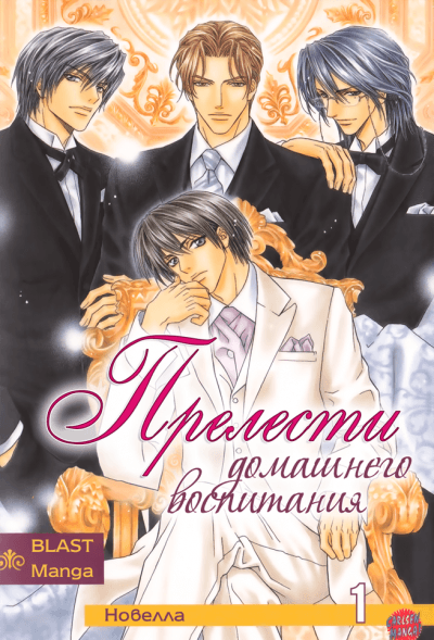 Прелести домашнего воспитания (новелла)
