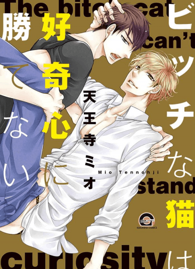 Игры милого котика