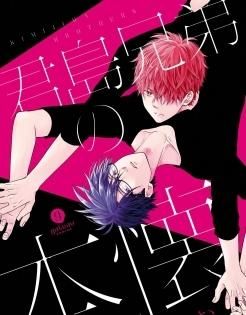 Kimijima Kyoudai no Honkai