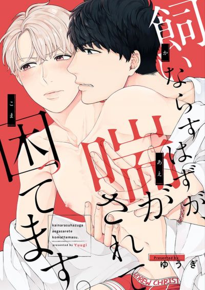 Уроки секса от метросексуала