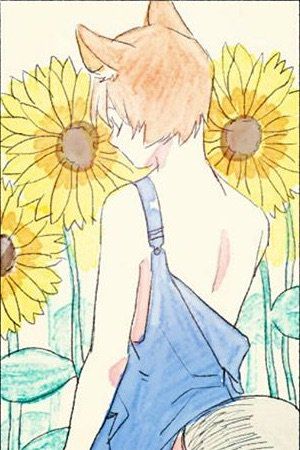 Мальчик-кот или день кошки