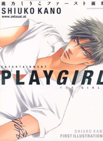 Артбук- Playgirl