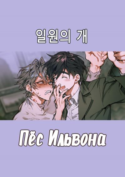 Пёс Ильвона
