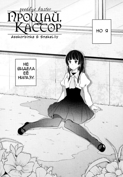 Прощай, Кастор
