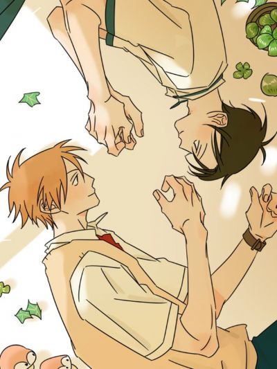 Сезон сумерек