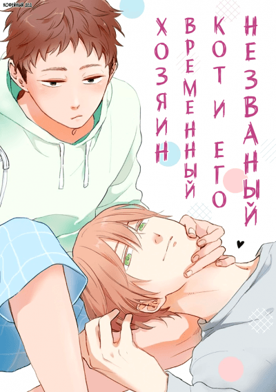 Незваный кот и его временный хозяин