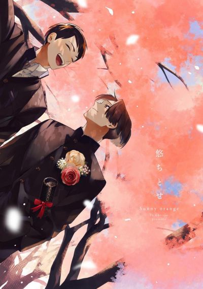 Солнечный апельсин