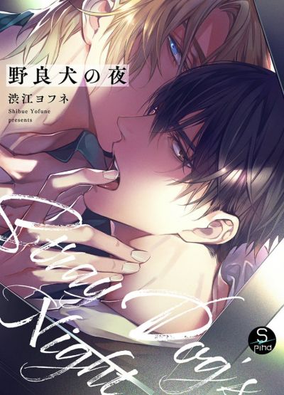 Ночь бродячей собаки