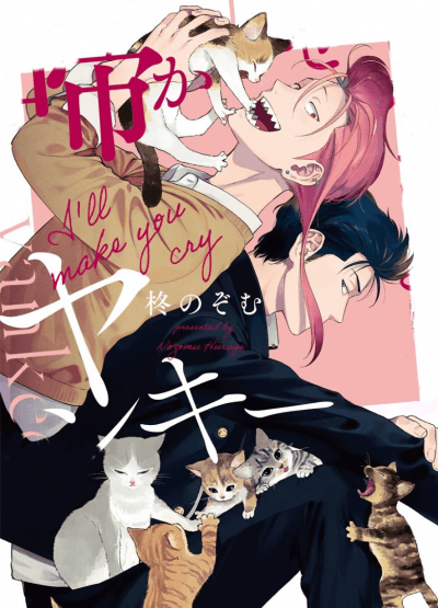 Я заставлю тебя плакать, Янки-кун