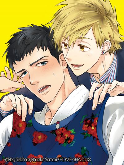 Рациональная романтика извращенца