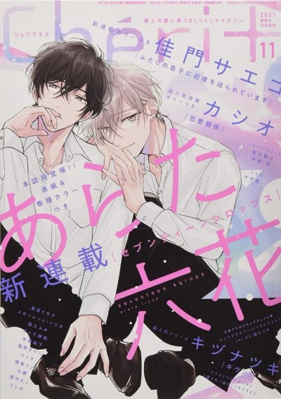 Семнадцать сиропов