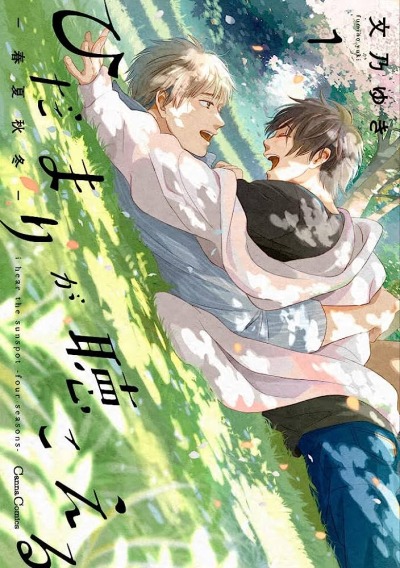 Я слышу солнечные вспышки: весна, лето, осень, зима