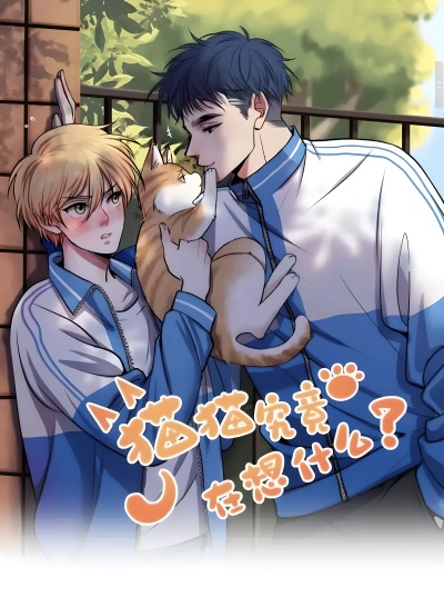 О чем думает котик?