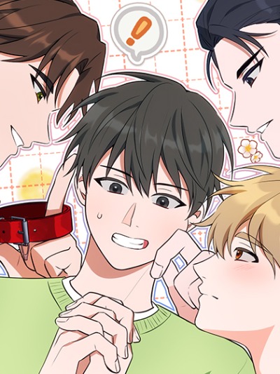 Три рыцаря для мальчика