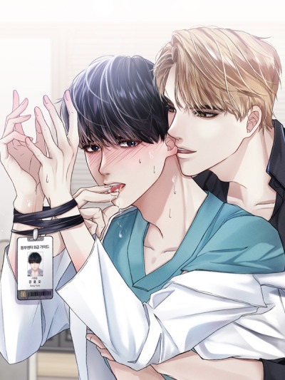 Обычная жизнь универсального проводника