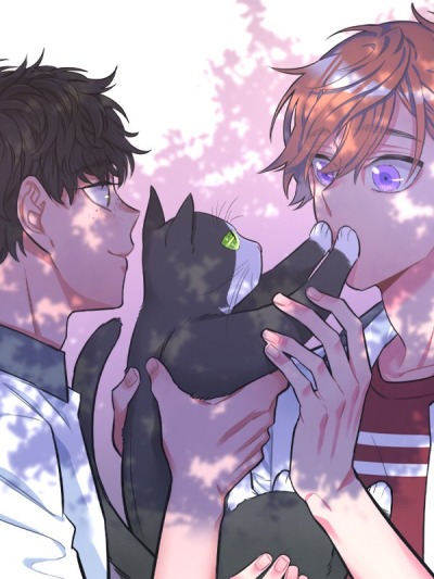 Море Противоречий