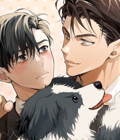 Романтика с собачьей шерстью