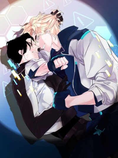 Шайба в гида