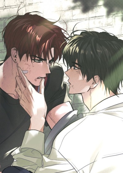 Тигр против тигра