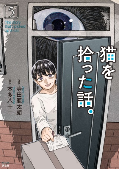 История о том, как я подобрал кота