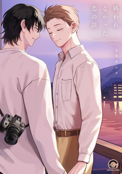 История незавершённой любви