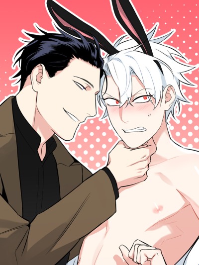 Клуб ангельского кролика