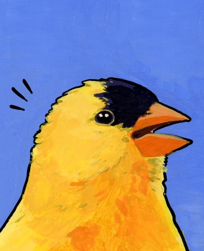 Ложные колени