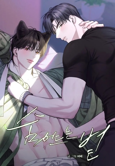 Пробивающийся солнечный свет