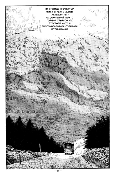 Домик с ондолом