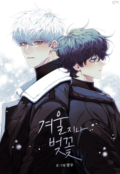 Вишня цветёт после зимы