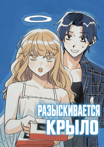 Разыскивается крыло